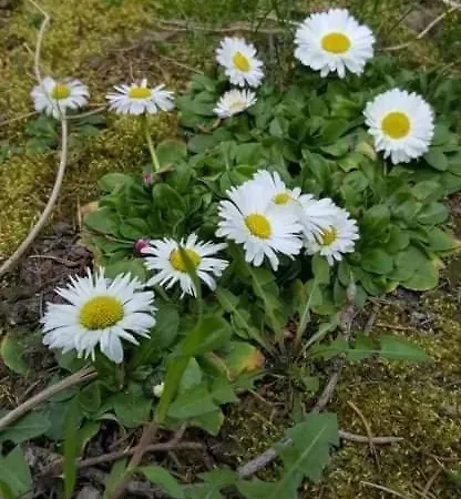 Patak Vendeghaz Prázdninový dům