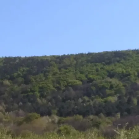 Patak Vendeghaz Case de vacanță