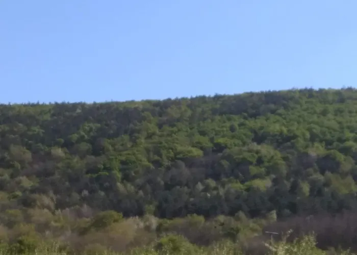 Patak Vendeghaz Dom wakacyjny